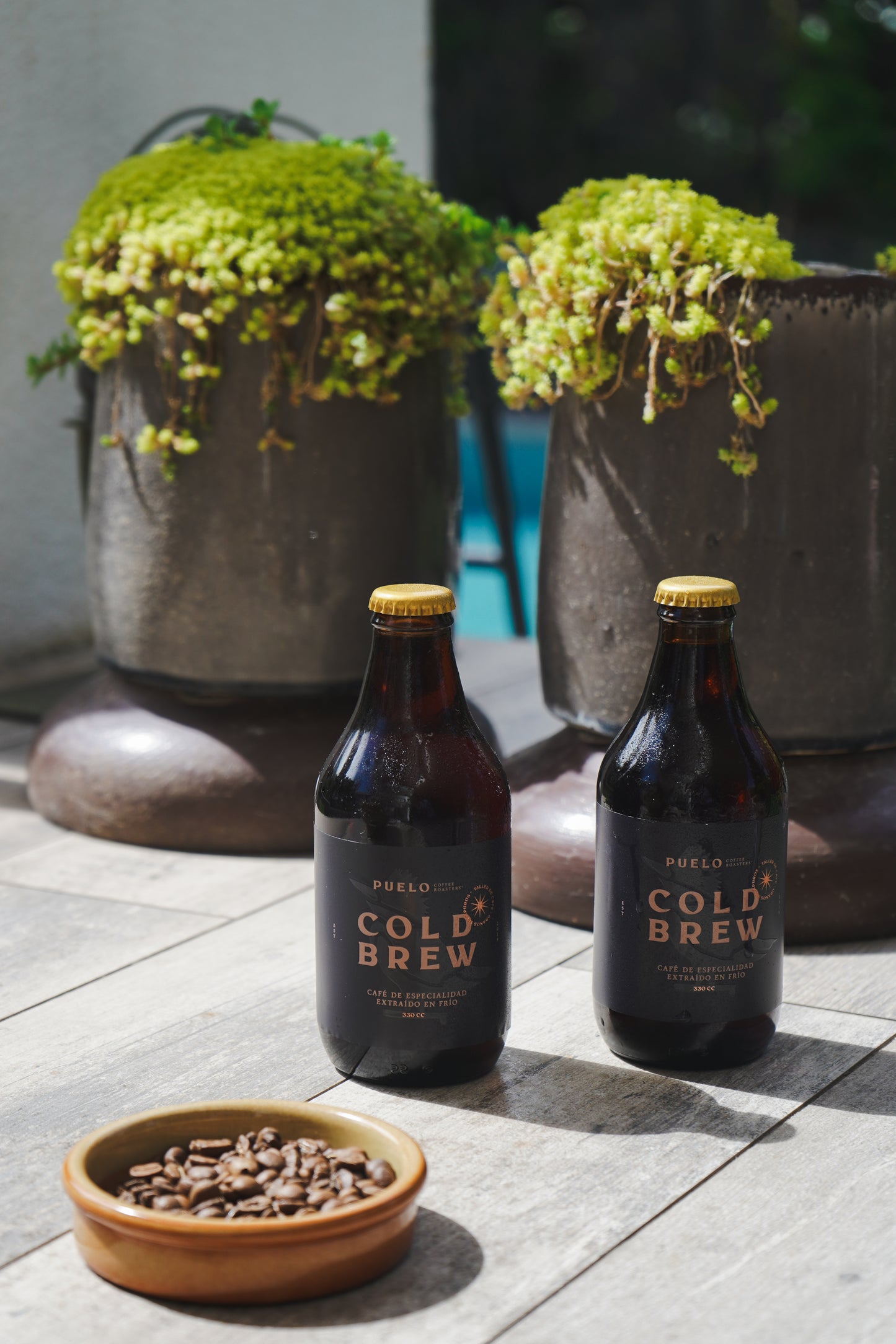 Cold Brew 12 PACK