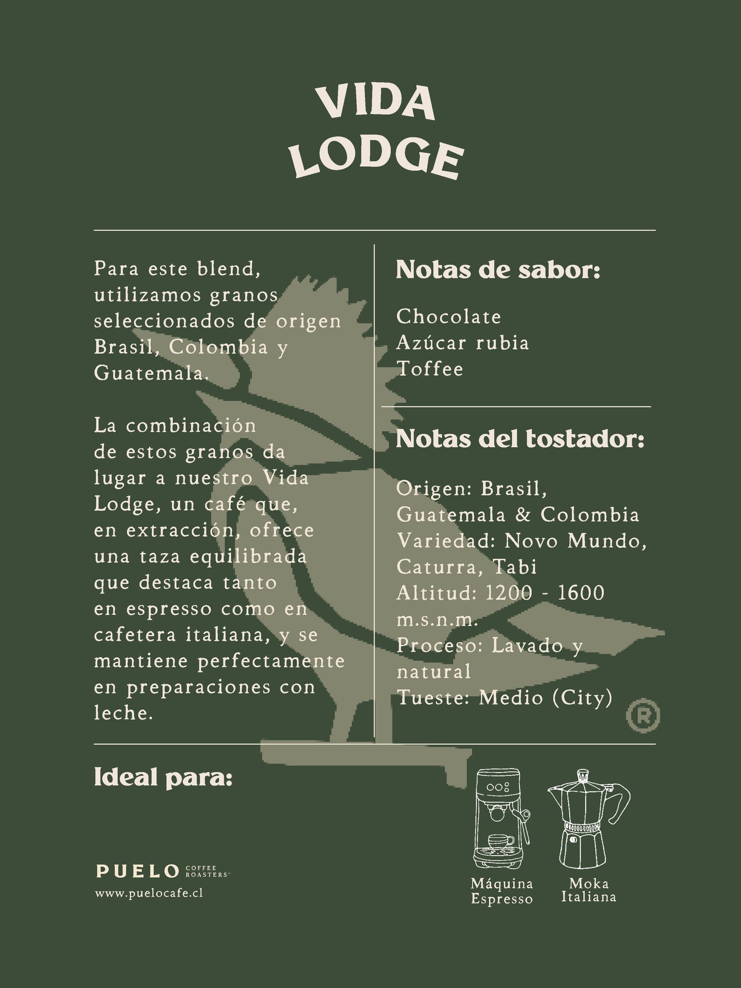 Café de Especialidad Vida Lodge Coffee Blend 1 kg