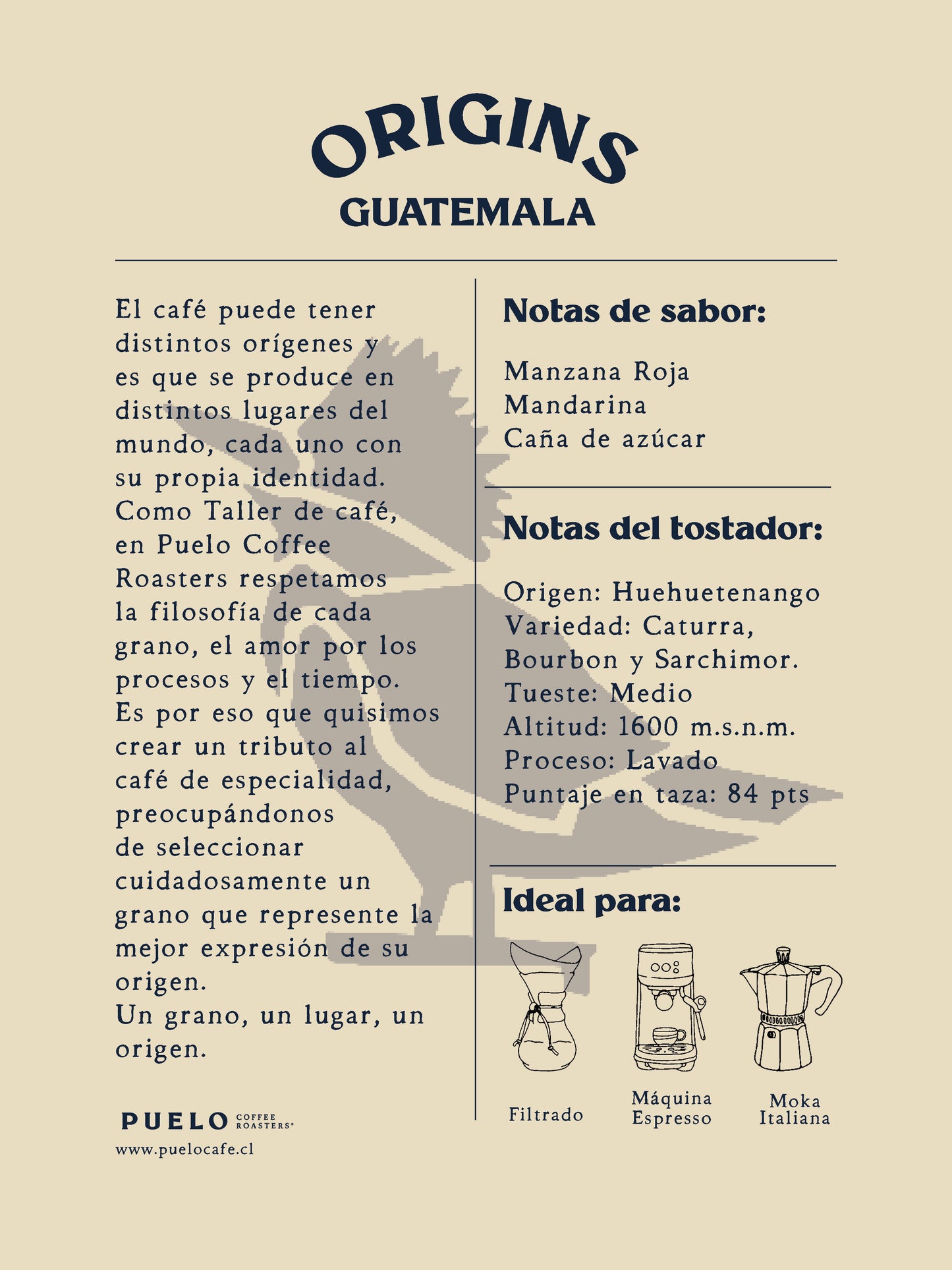 Café de Especialidad Origins 250 gr