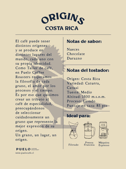 Café de Especialidad Origins 250 gr